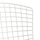 バリエーション画像